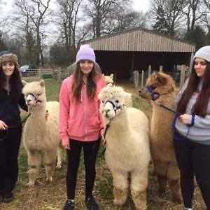 Lodge Victory Greenland Malton